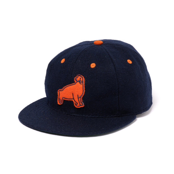 Ebbets field flannels×Pt.Alfred BB CAP EBBETS FIELD FLANNELS BB CAP (213-60903) | UNIVERSAL