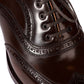 Limited Edition: Oxford Brogue "American" made of original Horween Shell Cordovan - purely handcrafted